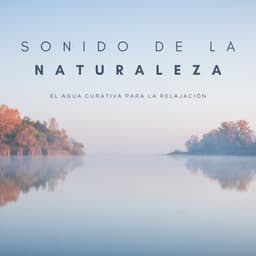 Sonido De La Naturaleza: El Agua Curativa Para La Relajación - Pájaros y Pajaritos