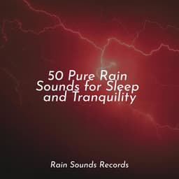 50 Pure Rain Sounds for Sleep and Tranquility - New Age