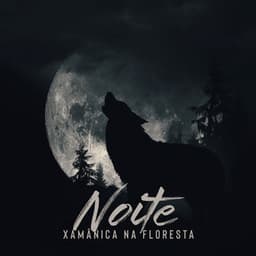 Noite Xamânica na Floresta - Native Shamanic Zone