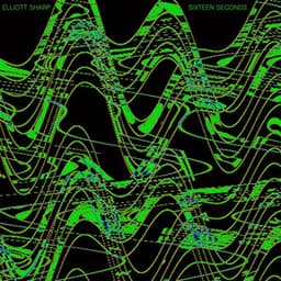 Sixteen Seconds - Elliott Sharp