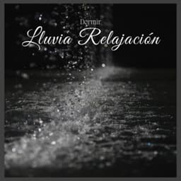 Dormir Lluvia Relajación - Lluvia Del Bosque