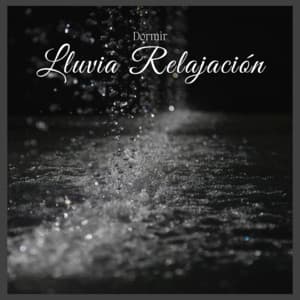 Dormir Lluvia Relajación - Lluvia Del Bosque