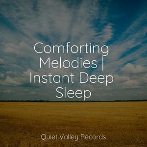 Comforting Melodies | Instant Deep Sleep - Active Baby Music Workshop