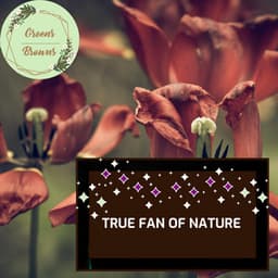 True Fan of Nature - Calm Music