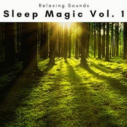 1 Sleep Magic Vol. 1 - Sleep Tech