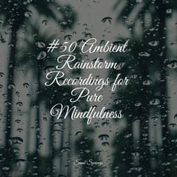 #50 Ambient Rainstorm Recordings for Pure Mindfulness - Nature's Symphony