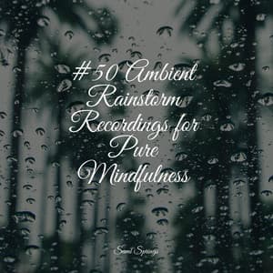 #50 Ambient Rainstorm Recordings for Pure Mindfulness - Nature's Symphony