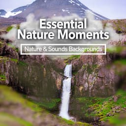 Essential Nature Moments - Nature & Sounds Backgrounds