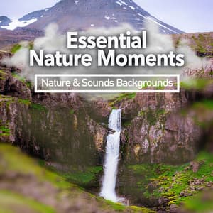 Essential Nature Moments - Nature Sounds & Backgrounds