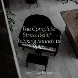 The Complete Stress Relief - Relaxing Sounds to Relax - New Age