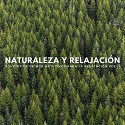 Naturaleza Y Relajación: Sonidos De Bichos Matutinos Para La Relajación Vol. 1 - Sonidos curativos de la naturaleza