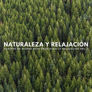 Naturaleza Y Relajación: Sonidos De Bichos Matutinos Para La Relajación Vol. 1 - Sonidos curativos de la naturaleza