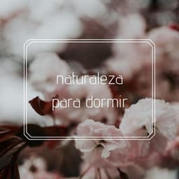 Naturaleza para Dormir: Sueño Profundo con Sonidos de la Naturaleza - New Age Relajación Science