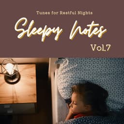 Sleepy Notes: Tunes for Restful Nights Vol.7 - Hugo Focus