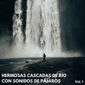 Hermosas Cascadas De Río Con Sonidos De Pájaros Vol. 1 - Cascadas Relajantes