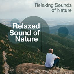 Relaxed Sound of Nature - Relaxing Sounds Of Nature