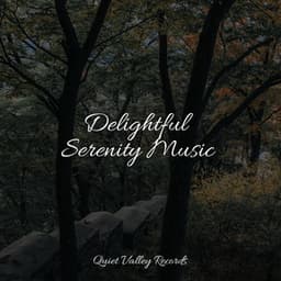 Delightful Serenity Music - Masters of Binaurality