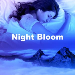 Night Bloom - Sleepy Parents