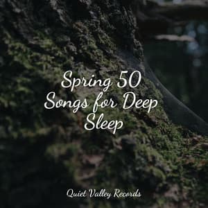 Spring 50 Songs for Deep Sleep - Nature Sounds Radio