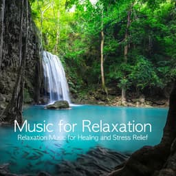 Music for Relaxation: Relaxation Music for Healing and Stress Relief - Relaxation Meditation and Spa