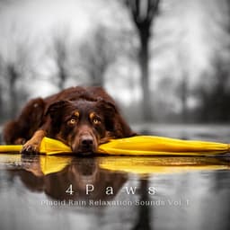 4 Paws: Placid Rain Relaxation Sounds Vol. 1 - Music For Pets