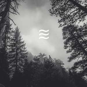 Enjoyful Soft Noises of Rain for Sleep Well - Wave Sounds For Sleep