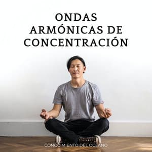 Ondas Armónicas De Concentración: Conocimiento Del Océano - Biblioteca XLE de sonidos de la naturaleza