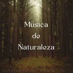 Música De Naturaleza: Cantándole Al Viento Vol. 1 - Efectos especiales del bosque