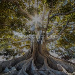 Meditation Collection for Deep Sleep - Rockabye Lullaby