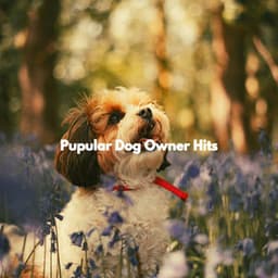 Pupular Dog Owner Hits - Separation Anxiety Dog Music