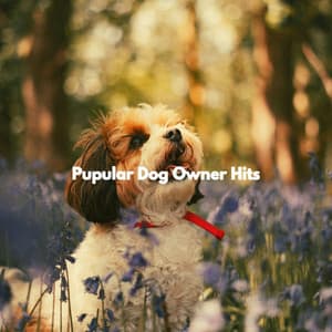 Pupular Dog Owner Hits - Separation Anxiety Dog Music