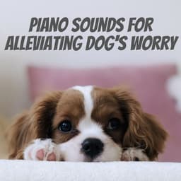 Piano Sounds for Alleviating Dog's Worry - Peaceful Piano Jazz