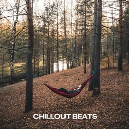 Chillout Beats - Chili House