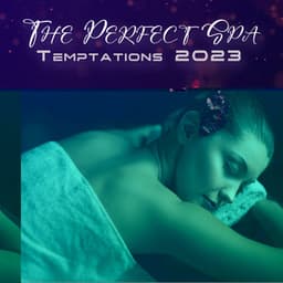 The Perfect Spa Temptations 2023: Relaxing Massage Experience, Meditational Soul, Light Hearted Thoughts - Nirvanian State