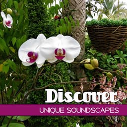 Discover Unique Soundscapes - Pure Sound Universe