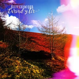 Cariad y Tir - Kizzy Crawford