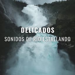 Delicados Sonidos De Río Estallando - Corriente Meteorica