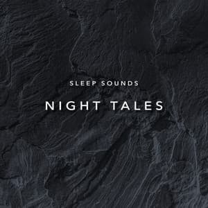 Sleep Sounds Night Tales - Rain Recorders