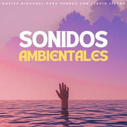 Sonidos Ambientales: Música Binaural Para Perros Con Lluvia Ligera - Relajarse Lluvia