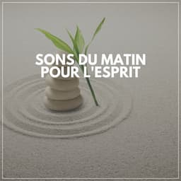 Sons Du Matin Pour L'esprit - Zen Musique Détente
