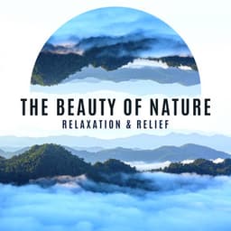 The Beauty of Nature: Relaxation & Relief. Delicate Sounds Allowing for Daily Meditation - Mindfullness Meditation World