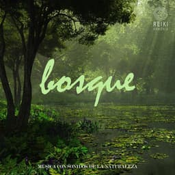 Música Con Sonidos de la Naturaleza: Bosque - Reiki Armonía