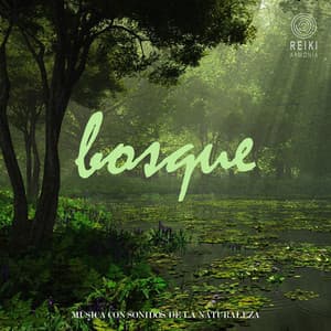 Música Con Sonidos de la Naturaleza: Bosque - Reiki Armonía