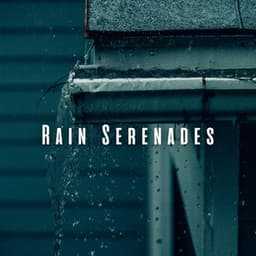 Rain Serenades: Peaceful Binaural Sounds for Pets' Well-being - We Stay Inside