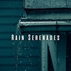 Rain Serenades: Peaceful Binaural Sounds for Pets' Well-being - We Stay Inside