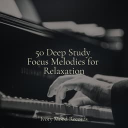 50 Deep Study Focus Melodies for Relaxation - Sleep Sound Library