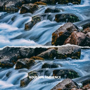 Aqueous Ambience: 639 Hz Tibetan Bowls Mirrored in the River - Nature Queen