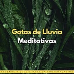Gotas De Lluvia Meditativas: Truenos Y Lluvia Para La Contemplación - Proyecto Global Tormenta