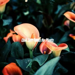Chill Soft Tunes for Plants - Relaxing Jazz