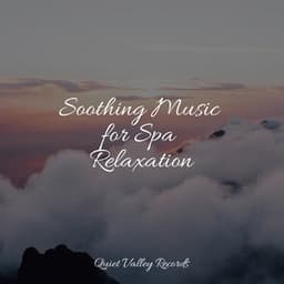 Soothing Music for Spa Relaxation - Ready Baby Music!